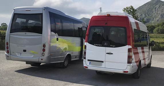 profesionales cualificados